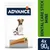 Pachet Advance Dental Care Stick Mini, 4 bucăți x 90 g. Imagine cu un câine și un baton dentar pe ambalaj. Text lateral: Dental Care Stick Mini.