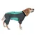 Cane che indossa una tuta integrale grigio-turchese con protezione per le zampe e colletto. Prodotto per la presentazione di abbigliamento per cani.