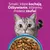 Whiskas 1+ z kurczakiem Whiskas 1+ z kurczakiem