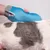Handschuh mit blauer Oberfläche wird verwendet, um das Fell eines Tieres zu pflegen.