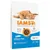 IAMS kattenvoer met ocean fish, 87% dierlijk eiwit, geschikt voor katten vanaf 1 jaar, verpakking van 10 kg. Tekst: 'Advanced Nutrition your cat needs', '100% Complete & Balanced Nutrition'.