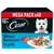 Cesar 10+ Senior Selection in Jelly - 40 x 100g