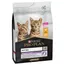 Lot PURINA PRO PLAN 2 x 3 kg pour chat - Original Kitten riche en poulet