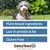 Beeztees Veggie Snack Igiene dentale per cani