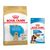 Labrador Retriever Puppy (12 kg) + sachets Maxi Puppy en sauce (10 x 140 g)