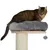 Kratzbaum mit Sisalstamm, grauem Plüschbett und Spielball. Katze sitzt auf der oberen Plattform.