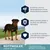 Rottweiler à partir de 1 an. Protéines pour la musculature, bêta-carotène pour les défenses naturelles, L-carnitine et taurine pour le cœur. Convient aussi Canes corso, chien de Rhodésie à crête dorsale.