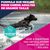 Eukanuba Premium Nutrition Adult Large et Giant Breed au poulet