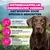 Eukanuba Special Care Weight Control Adult Large