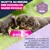 Eukanuba Premium Nutrition Puppy Small Breed Pollo