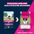 Croquettes Eukanuba Premium Nutrition Puppy Medium Breed au poulet