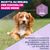 Eukanuba Premium Nutrition Puppy Medium Breed Pollo