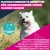 Eukanuba Premium Nutrition Adult Small Breed piščanec