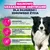 Eukanuba Premium Nutrition Adult Medium Breed, kurczak