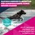 Eukanuba Premium Nutrition Adult Large & Giant Breed piščanec