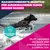 Eukanuba Premium Nutrition Adult Large & Giant Breed Huhn
