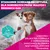 Eukanuba Premium Nutrition Adult Small & Medium Breed, jagnięcina i ryż