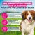 Eukanuba Premium Nutrition Adult Small et Medium Breed Agneau et Riz