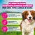 Eukanuba Premium Nutrition Adult Small & Medium Breed Agnello & Riso