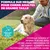 Eukanuba Premium Nutrition Adult Large et Giant Breed Agneau et Riz