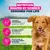 Eukanuba Premium Nutrition Adult Large & Giant Breed karitsa & riisi