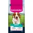 Eukanuba Premium Nutrition Adult Small & Medium Breed, łosoś - 2 x 12 kg