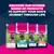 Eukanuba Premium Nutrition Senior Small Breed Κοτόπουλο