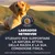 Labrador Retriever. Sviluppato per il sostegno della natura attiva e della condizione fisica della razza. Adatto anche per Curly Coated Retriever e Chesapeake Bay Retriever. Labrador Retriever. Sviluppato per il sostegno della natura attiva e della condizione fisica della razza. Adatto anche per Curly Coated Retriever e Chesapeake Bay Retriever.