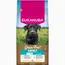 Eukanuba Grain Free Adult Large mit Huhn - Sparpaket: 2 x 12 kg