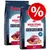Rocco Mealtime Complete Dog Food Beef, 12kg bags, grain free recipe, 70% animal ingredients, rich in fresh beef, full taste. Red percentage discount symbol on pack. Rocco Mealtime Complete Dog Food Beef, 12kg bags, grain free recipe, 70% animal ingredients, rich in fresh beef, full taste. Red percentage discount symbol on pack.