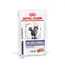 Royal Canin Expert Mature Consult Balance Mousse - 24 x 85 g