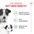 Royal Canin Starter Mousse Mother & Babydog Hondenvoer