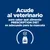 Acude al veterinario para saber qué alimento PRESCRIPTION DIET es adecuado para tu mascota Acude al veterinario para saber qué alimento PRESCRIPTION DIET es adecuado para tu mascota
