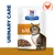 Hill's Prescription Diet s/d urinary care food with visible chunks in gravy, featuring a cat and a chicken icon on the packaging.