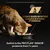 Science based nutrition developed with Purina veterinarians. Switch to the PRO PLAN SENIOR products from 7+ years. Cat eating from Purina Pro Plan bowl.