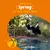 Text reads: Keep the spring in your dog's step. Image shows a dog jumping into a swimming pool, suggesting energy and vitality.