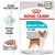 Urinary care food, 85g x12 packs, supports urinary tract health, loaf texture, suitable for all sizes. Care nutrition highlighted. Urinary care food, 85g x12 packs, supports urinary tract health, loaf texture, suitable for all sizes. Care nutrition highlighted.