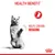 Health benefit: helps control begging, shown with a cat standing upright and a red icon of a sitting cat.