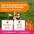 Zesty Paws Flea & Tick Shampoo - 250ml