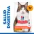 Hill's Science Plan Perfect Digestion para gatos, con pollo y arroz integral. Texto visible: SALUD DIGESTIVA, with CHICKEN & BROWN RICE, ActivBiome+. Imagen de un gato en el envase.