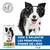 Hill's Science Plan Senior Vitality nourriture pour chien, Texte : Aide à ralentir les principaux signes de vieillissement. Sans conservateurs, colorants ou arômes artificiels.