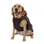 Dog wearing brown coat with faux fur collar, suitable for cold weather conditions.
