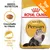 ROYAL CANIN ADULT Persian, crocchetta su misura, salute del pelo lungo, Top Seller, immagine di un gatto persiano sul sacco. Testo in inglese: BREED NUTRITION. ROYAL CANIN ADULT Persian, crocchetta su misura, salute del pelo lungo, Top Seller, immagine di un gatto persiano sul sacco. Testo in inglese: BREED NUTRITION.
