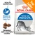Royal Canin Home Life Indoor 27, Top Seller. Riduzione dell’odore delle feci, dimensioni della crocchetta adattate, immagine di gatto e crocchette visibili sulla confezione. Royal Canin Home Life Indoor 27, Top Seller. Riduzione dell’odore delle feci, dimensioni della crocchetta adattate, immagine di gatto e crocchette visibili sulla confezione.