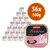 36 vaschette da 100 g di Animonda Vom Feinsten Kitten Baby-Paté, confezione visibile con immagine di un gatto bianco e scritta 'ab der 4. Woche' sulla confezione. 36 vaschette da 100 g di Animonda Vom Feinsten Kitten Baby-Paté, confezione visibile con immagine di un gatto bianco e scritta 'ab der 4. Woche' sulla confezione.