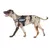 Dog wearing Julius-K9 harness in black with reflective stripe and adjustable strap.