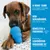 KONG Puppy kiskutya játék