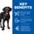 Key benefits: effective weight loss with visible results, omega-3 rich fish oil for joint mobility, glucosamine and chondroitin support healthy cartilage. Dog shown beside benefits list.