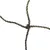 Detailaufnahme eines grünen, geknoteten Seils mit Metallringen. Geeignet für Netz- oder Befestigungsanwendungen.