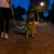 Hund mit leuchtendem Halsband und Leine bei Nacht, begleitet von einer Person. Sichtbarkeit im Dunkeln durch LED-Beleuchtung.